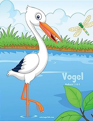 Vogelmalbuch 7, 8 & 9-..