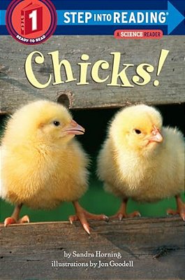 Chicks!-..
