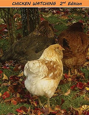 Chicken Watching-..
