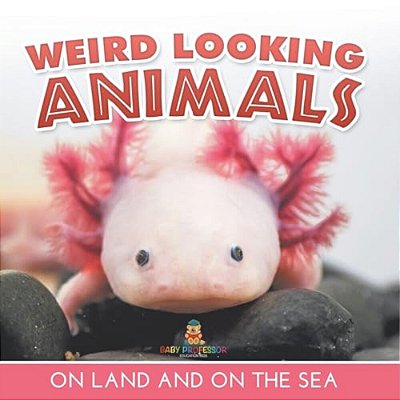 Weird Looking Animals On Land And On The Sea-..