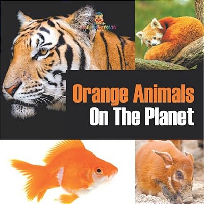Orange Animals On The Planet-..