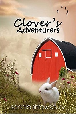 Clover's Adventures-..