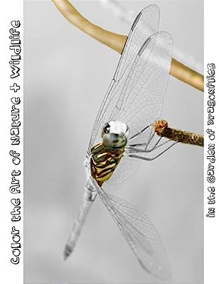 In The Garden Of Dragonflies: Color The Art Of Nature + Wildlife-..