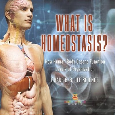 What Is Homeostasis? How Human Body Organs Function Levels Of Organization Grade 6-8 Life Science-..