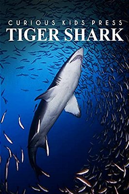 Tiger Shark - Curious Kids Press: Kids Book About Animals And Wildlife, Children's Books 4-6-..
