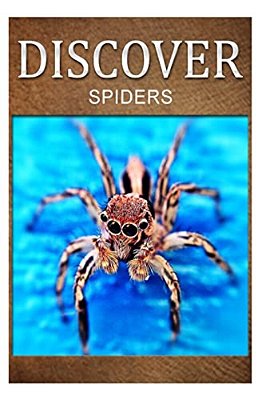 Spiders - Discover: Early Reader's Wildlife Photography Book-..