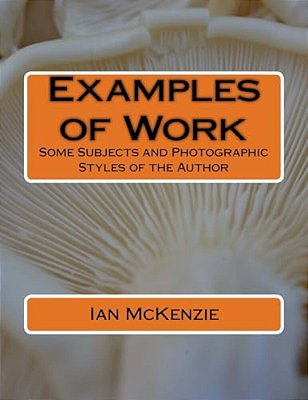 Examples Of Work: Some Subjects And Photographic Styles Of The Author-..