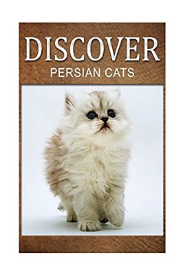 Persian Cats - Discover: Early Reader's Wildlife Photography Book-..