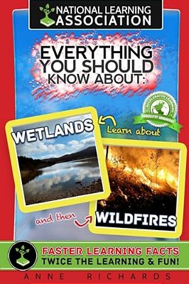 Everything You Should Know About: Wetlands And Wildfires-..