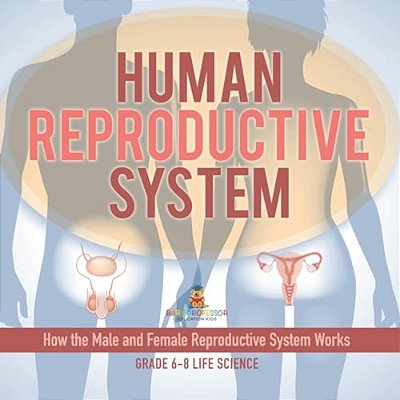 Human Reproductive System How The Male And Female Reproductive System Works Grade 6-8 Life Science-..