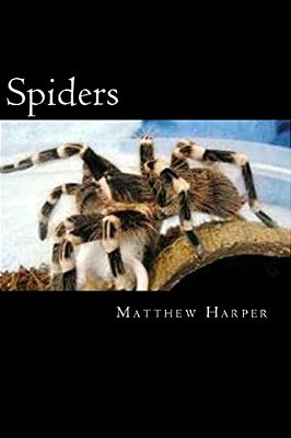 Spiders: A Fascinating Book Containing Spider Facts, Trivia, Images & Memory Recall Quiz: Suitable For Adults & Children-..