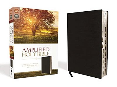 Amplified-Am: Captures The Full Meaning Behind The Original Greek And Hebrew-..