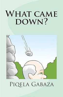What Came Down?-..