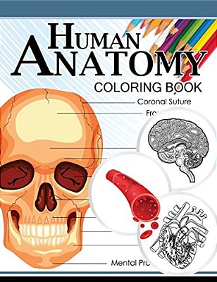Human Anatomy Coloring Book: Anatomy & Physiology Coloring Book 3RD Edtion-..