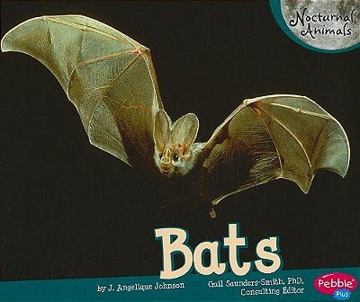 Bats - Nocturnal Animals-..