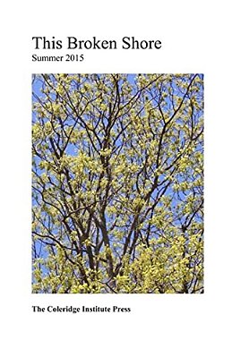 This Broken Shore 2015-..