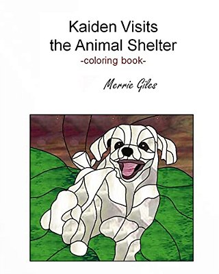Kaiden Visits The Animal Shelter-..