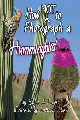 How Not To Photograph A Hummingbird-..