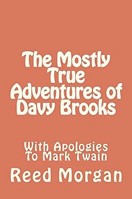 The Mostly True Adventures Of Davy Brooks-..