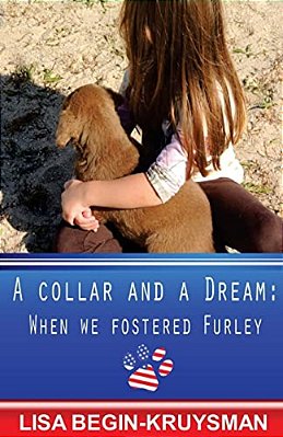 A Collar And A Dream: When We Fostered Furley-..