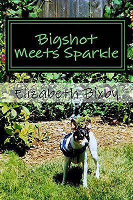 Bigshot Meets Sparkle-..