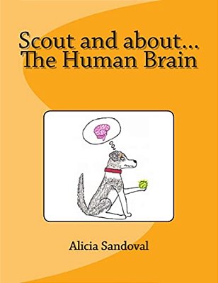 Scout And About... The Human Brain-..
