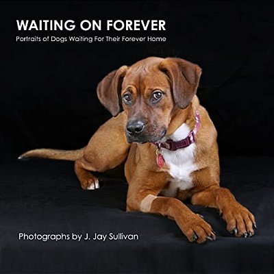 Waiting On Forever: Portraits Of Dogs Waiting For Their Forever Home-..
