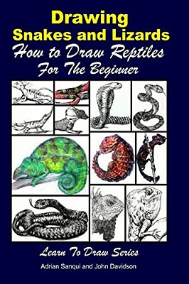 Drawing Snakes And Lizards - How To Draw Reptiles For The Beginner-..