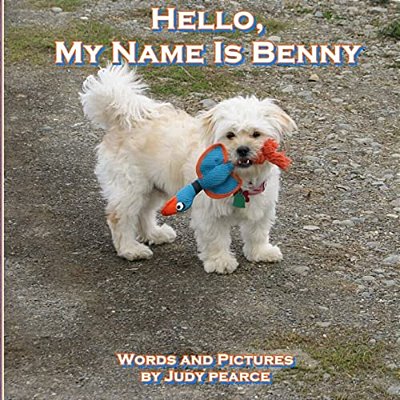 Hello, My Name Is Benny-..