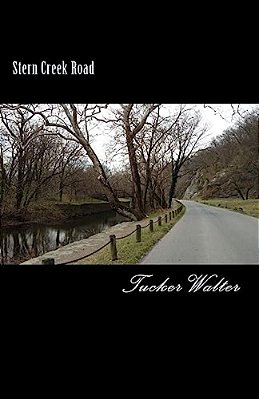 Stern Creek Road: A Murder Mystery-..