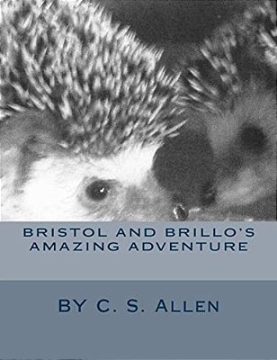 Bristol And Brillo's Amazing Adventure-..