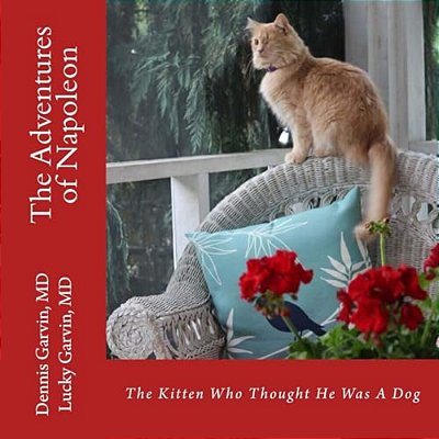 The Adventures Of Napoleon: The Kitten Who Thought He Was A Dog-..