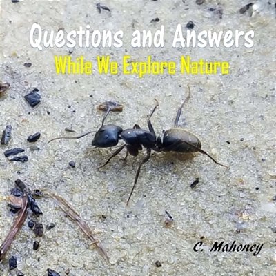 Questions And Answers While We Explore Nature-..