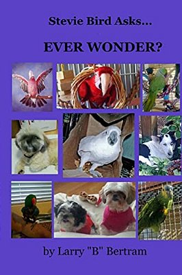 Stevie Bird Asks: Ever Wonder?-..