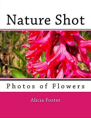 Nature Shot: Photos Of Flowers-..