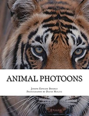 Animal Photoons: Photoons Are Sort Of Like Cartoons-..