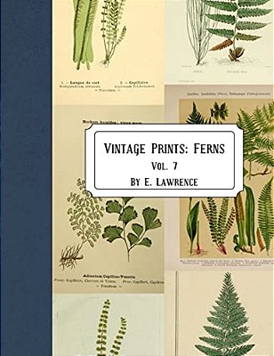 Vintage Prints: Ferns: Vol. 7-..