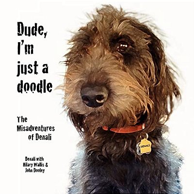 Dude, I'm Just A Doodle: The Misadventures Of Denali-..