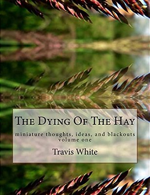 The Dying Of The Hay: Miniature Thoughts, Ideas, And Blackouts-..