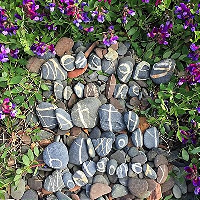 Messages From The Earth-..