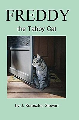 Freddy The Tabby Cat-..