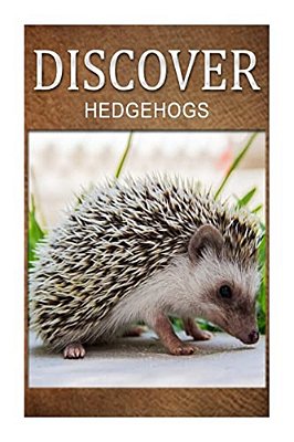 Hedge Hogs - Discover: Early Reader's Wildlife Photography Book-..