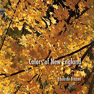 Colors Of New England-..