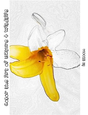 In Bloom [Line Drawing]: Color The Art Of Nature + Wildlife-..