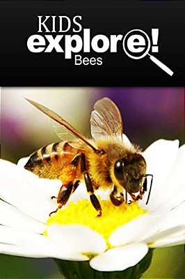 Bees - Kids Explore: Animal Books Nonfiction - Books Ages 5-6-..