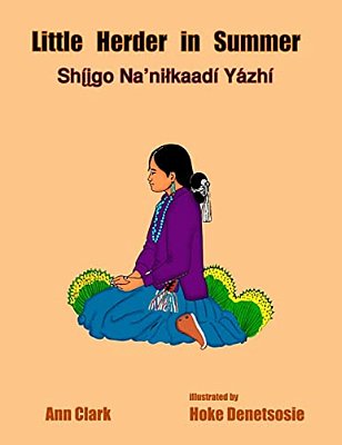 Little Herder In Summer: Shiigo Na'Nilkaadi Yazhi-..