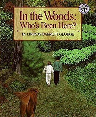 In The Woods: Who's Been Here?-..