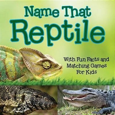 Name That Reptile: With Fun Facts And Matching Games For Kids-..