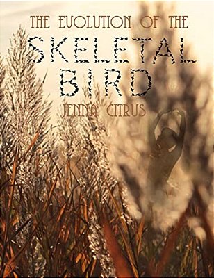 The Evolution Of The Skeletal Bird-..