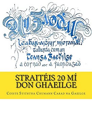 Straitéis 20 Mí Don Ghaeilge-..